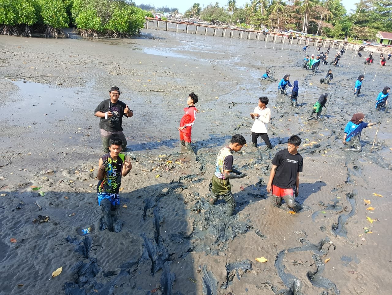 Penanaman Mangrove di Pantai Desa Teluk Bogam  (2)
