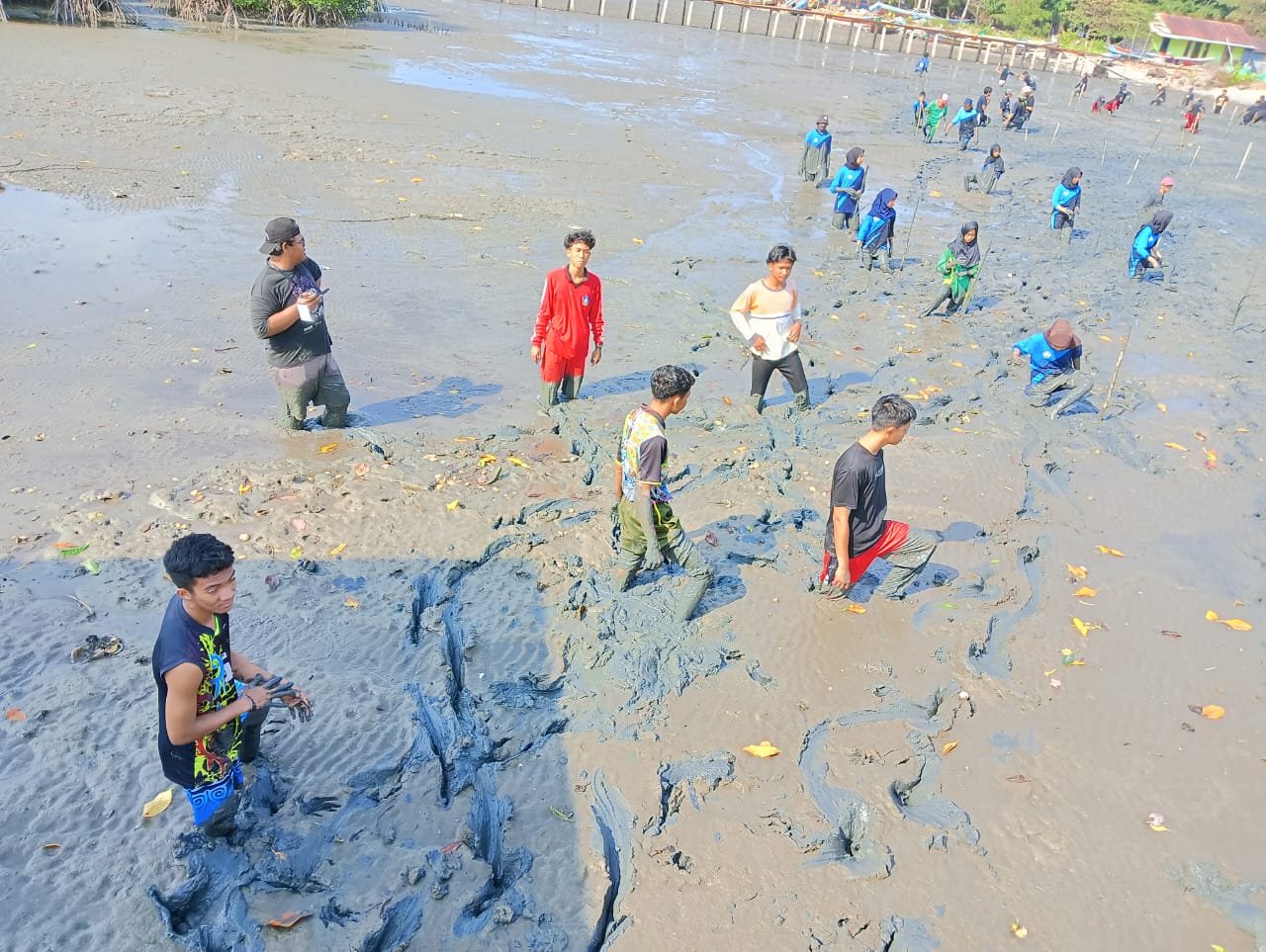 Penanaman Mangrove di Pantai Desa Teluk Bogam  (1)
