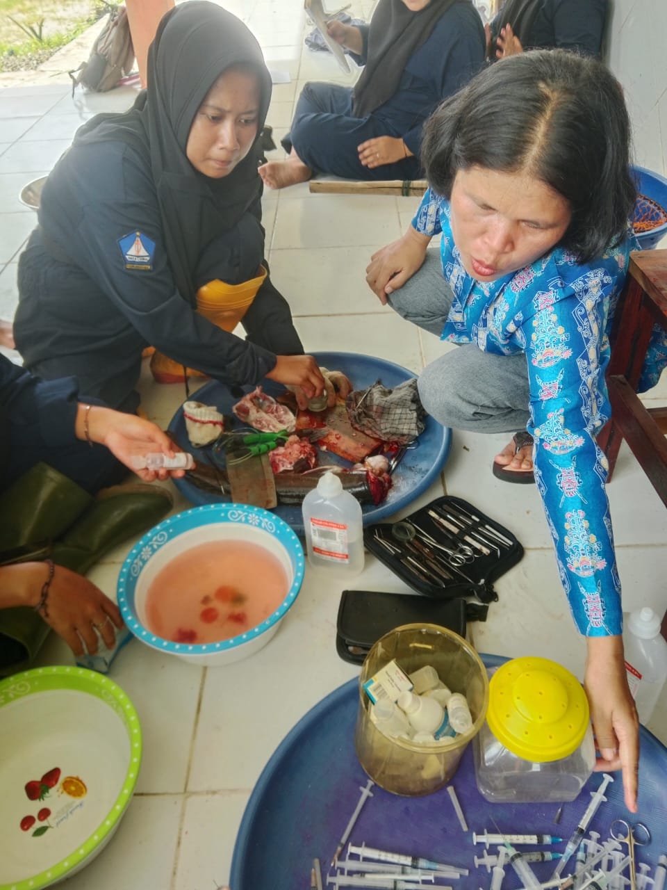 Kegiatan Seleksi Indukan Ikan Lele dan Pembiakan  (3)