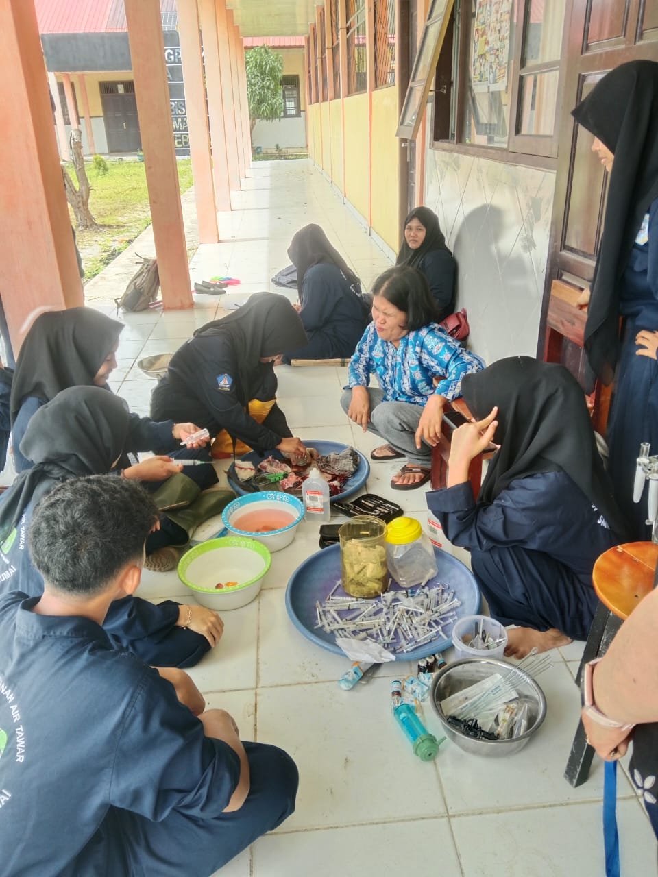 Kegiatan Seleksi Indukan Ikan Lele dan Pembiakan  (1)