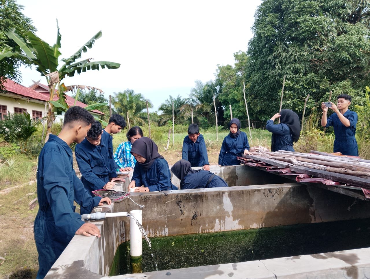 Kegiatan Seleksi Indukan Ikan Lele dan Pembiakan  (4)